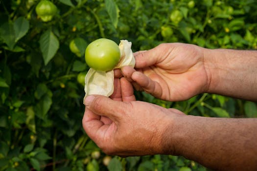 Sustainable Farming Practices