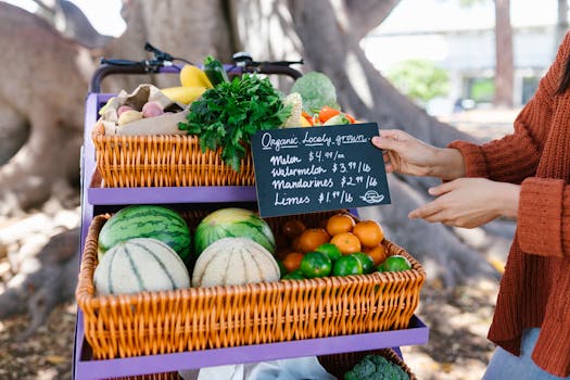 colorful selection of fruits and vegetables