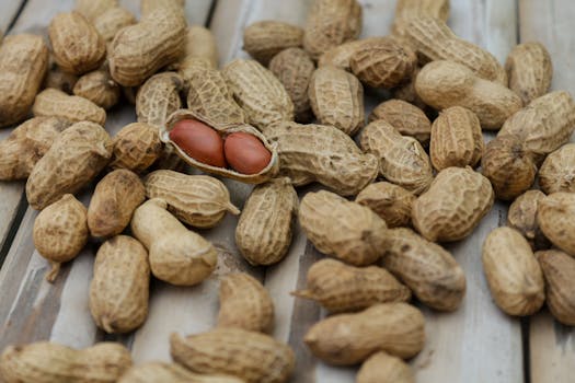 food sources of magnesium