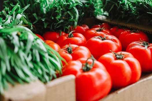 fresh organic vegetables at a farmer’s market