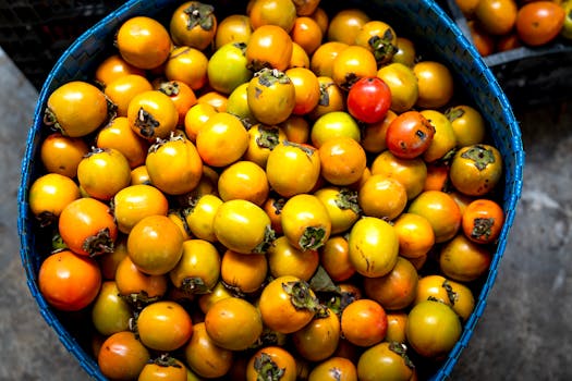 local farm produce in a basket